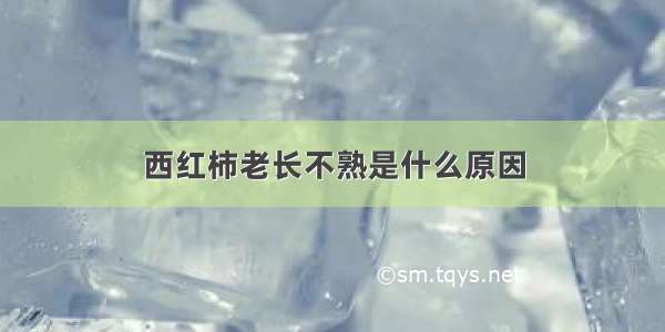 西红柿老长不熟是什么原因