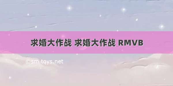 求婚大作战 求婚大作战 RMVB