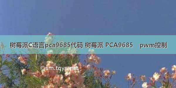 树莓派C语言pca9685代码 树莓派 PCA9685　pwm控制
