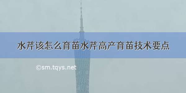 水芹该怎么育苗水芹高产育苗技术要点