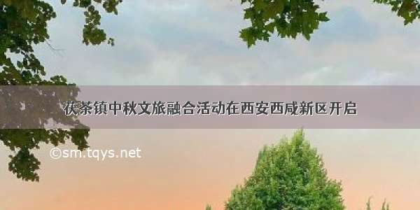 茯茶镇中秋文旅融合活动在西安西咸新区开启