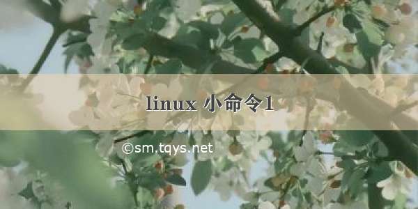 linux 小命令1
