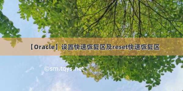 【Oracle】设置快速恢复区及reset快速恢复区