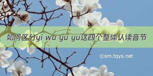 如何区分yi wu yu yu这四个整体认读音节