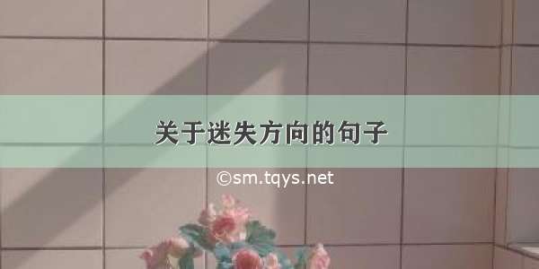 关于迷失方向的句子