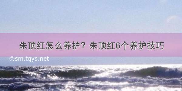 朱顶红怎么养护？朱顶红6个养护技巧