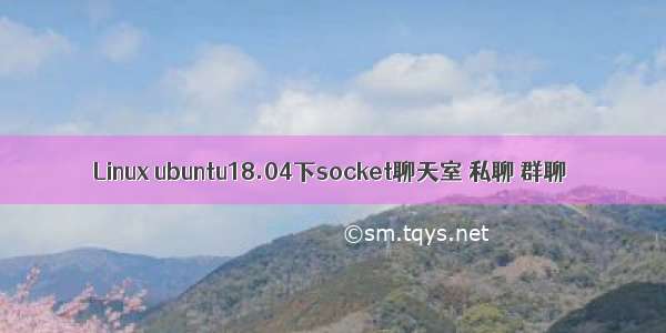 Linux ubuntu18.04下socket聊天室 私聊 群聊
