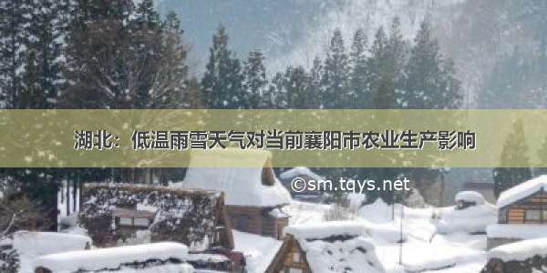 湖北：低温雨雪天气对当前襄阳市农业生产影响