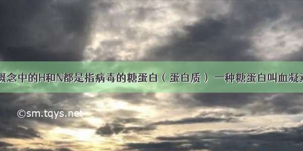 禽流感病毒概念中的H和N都是指病毒的糖蛋白（蛋白质） 一种糖蛋白叫血凝素（HA） 另