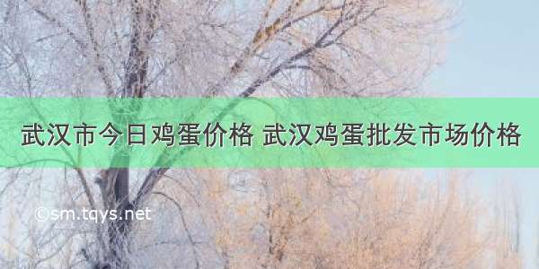 武汉市今日鸡蛋价格 武汉鸡蛋批发市场价格