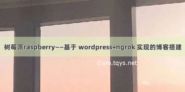 树莓派raspberry——基于 wordpress+ngrok 实现的博客搭建