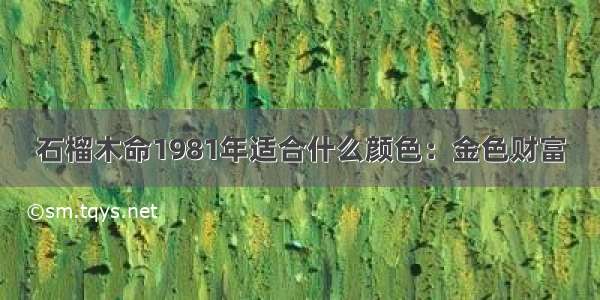 石榴木命1981年适合什么颜色：金色财富