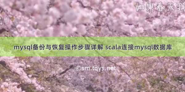 mysql备份与恢复操作步骤详解 scala连接mysql数据库