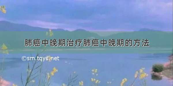 肺癌中晚期治疗肺癌中晚期的方法