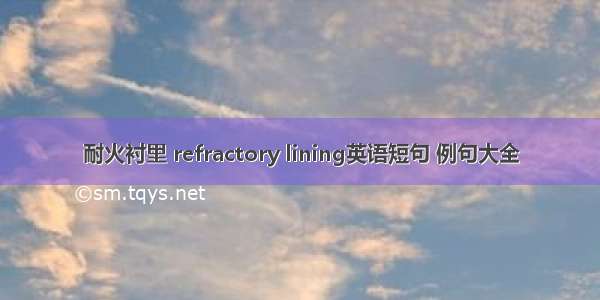 耐火衬里 refractory lining英语短句 例句大全