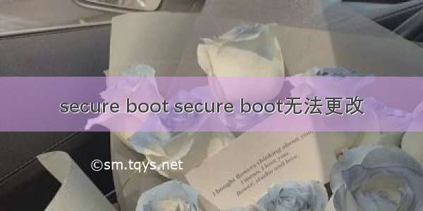 secure boot secure boot无法更改