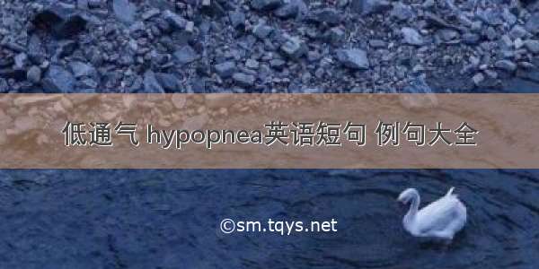 低通气 hypopnea英语短句 例句大全