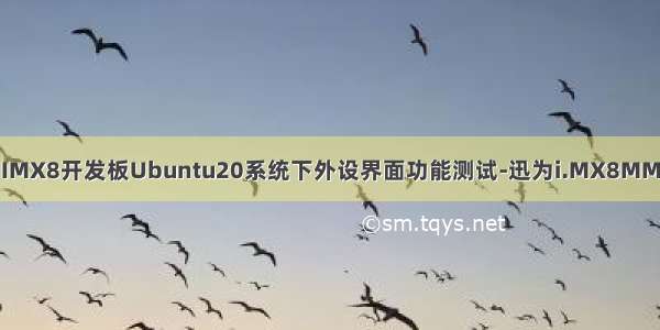 IMX8开发板Ubuntu20系统下外设界面功能测试-迅为i.MX8MM