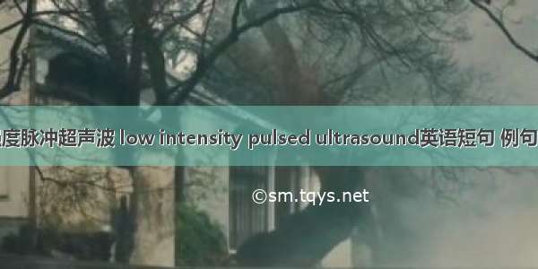 低强度脉冲超声波 low intensity pulsed ultrasound英语短句 例句大全