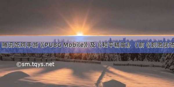 搭配Online：腾讯吃鸡手游《PUBG Mobile》及《和平精英》（前《刺激战场》）全球收入