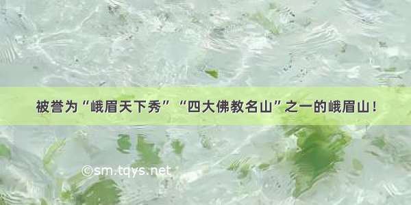 被誉为“峨眉天下秀” “四大佛教名山”之一的峨眉山！