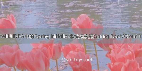 使用IntelliJ IDEA中的Spring Initializr来快速构建Spring Boot/Cloud工程