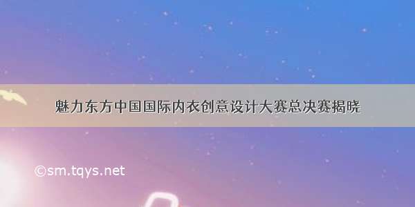魅力东方中国国际内衣创意设计大赛总决赛揭晓