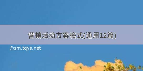 营销活动方案格式(通用12篇)