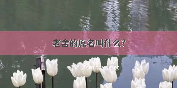 老舍的原名叫什么？