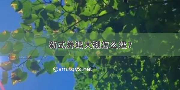 新式养鸡大棚怎么建？