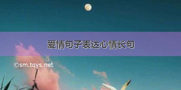 爱情句子表达心情长句