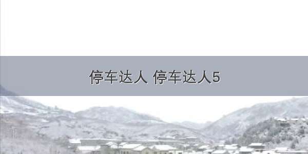 停车达人 停车达人5