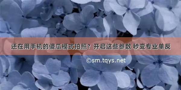 还在用手机的傻瓜模式拍照？开启这些参数 秒变专业单反