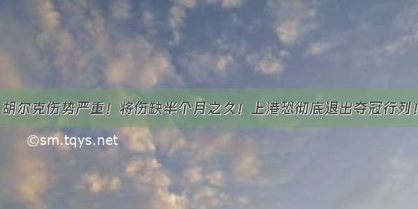 胡尔克伤势严重！将伤缺半个月之久！上港恐彻底退出夺冠行列！