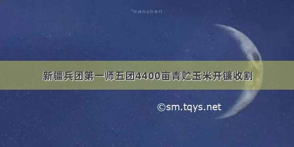 新疆兵团第一师五团4400亩青贮玉米开镰收割