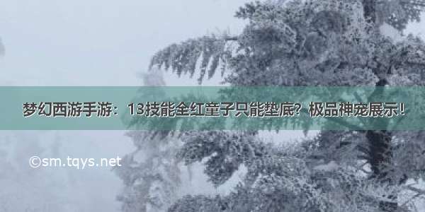 梦幻西游手游：13技能全红童子只能垫底？极品神宠展示！