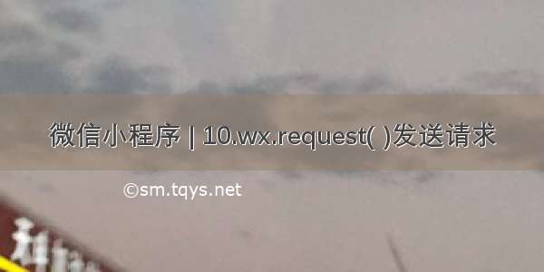 微信小程序 | 10.wx.request( )发送请求