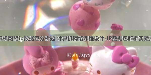 计算机网络ip数据包分析题 计算机网络课程设计-IP数据包解析实验报告