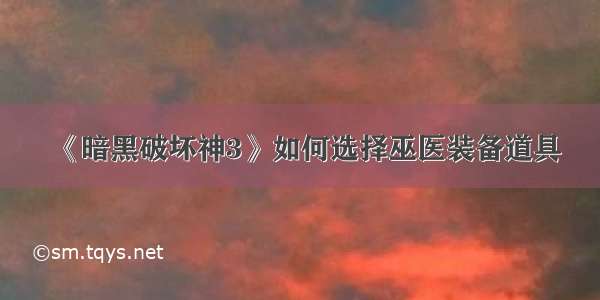 《暗黑破坏神3》如何选择巫医装备道具