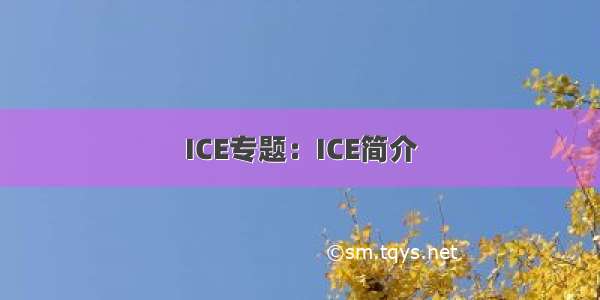 ICE专题：ICE简介