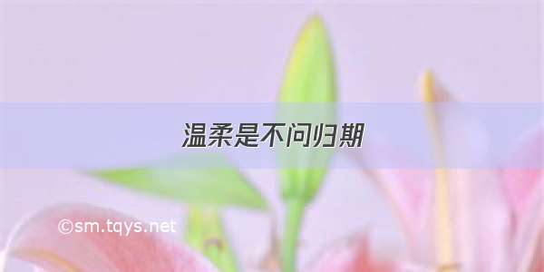 温柔是不问归期