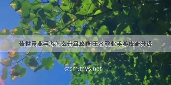 传世霸业手游怎么升级攻略 王者霸业手游传奇升级