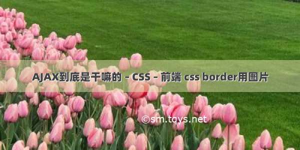 AJAX到底是干嘛的 – CSS – 前端 css border用图片