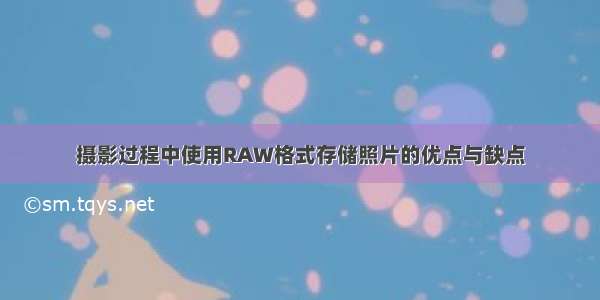 摄影过程中使用RAW格式存储照片的优点与缺点