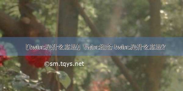 【twins是什么意思】twins组合 twins是什么意思?