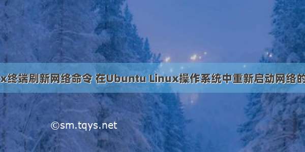linux终端刷新网络命令 在Ubuntu Linux操作系统中重新启动网络的方法