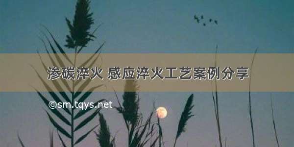 渗碳淬火 感应淬火工艺案例分享