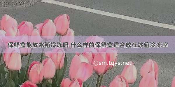 保鲜盒能放冰箱冷冻吗 什么样的保鲜盒适合放在冰箱冷冻室