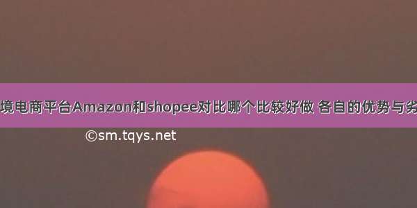 跨境电商平台Amazon和shopee对比哪个比较好做 各自的优势与劣势