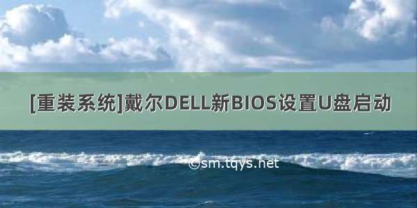 [重装系统]戴尔DELL新BIOS设置U盘启动